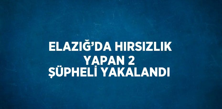 ELAZIĞ’DA HIRSIZLIK YAPAN 2 ŞÜPHELİ YAKALANDI