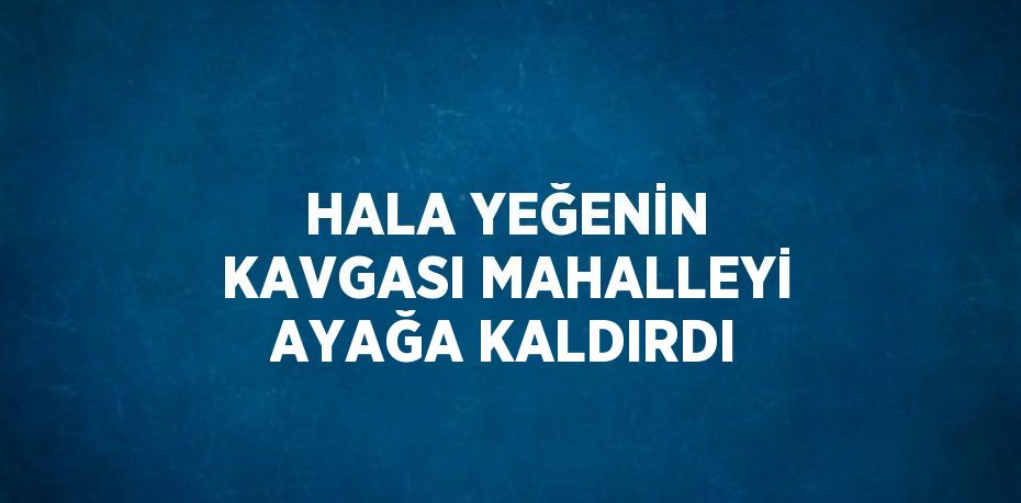 HALA YEĞENİN KAVGASI MAHALLEYİ AYAĞA KALDIRDI