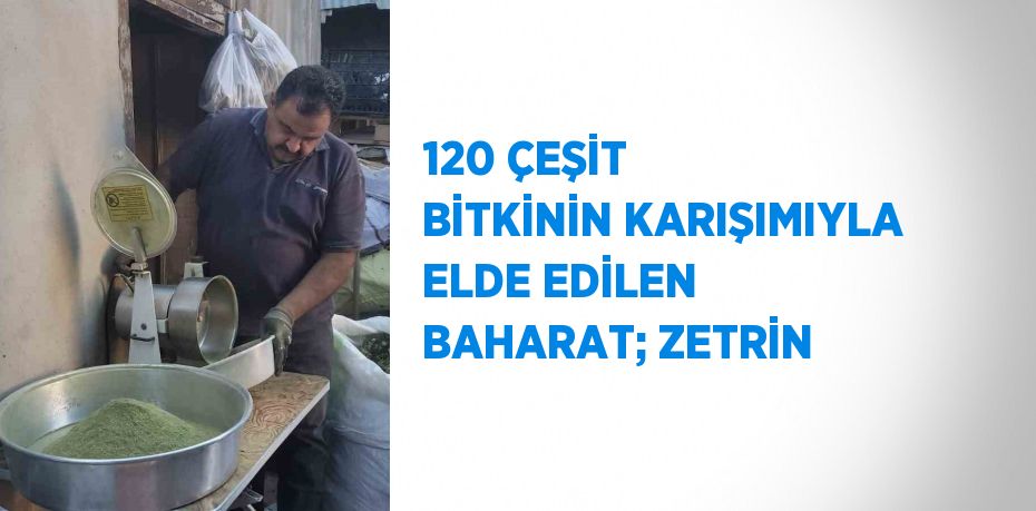 120 ÇEŞİT BİTKİNİN KARIŞIMIYLA ELDE EDİLEN BAHARAT; ZETRİN