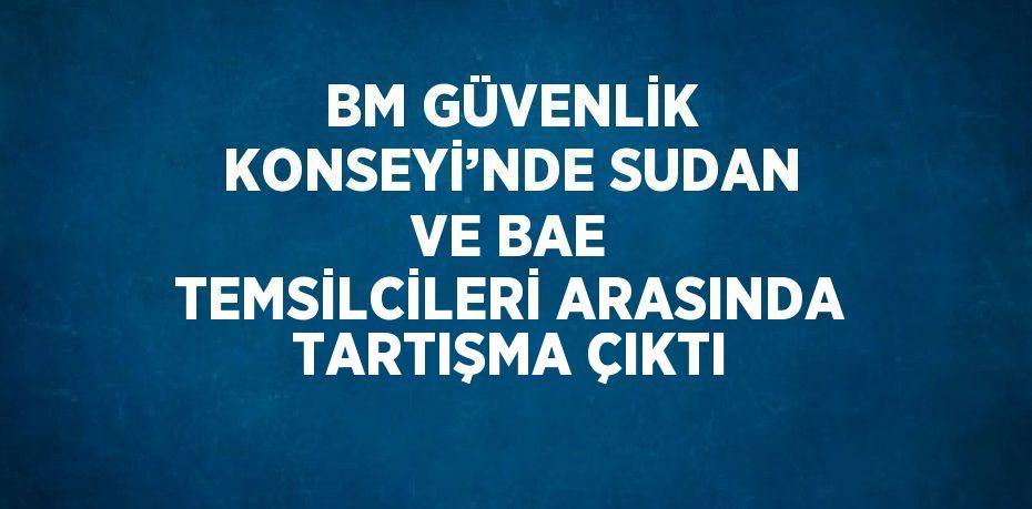 BM GÜVENLİK KONSEYİ’NDE SUDAN VE BAE TEMSİLCİLERİ ARASINDA TARTIŞMA ÇIKTI