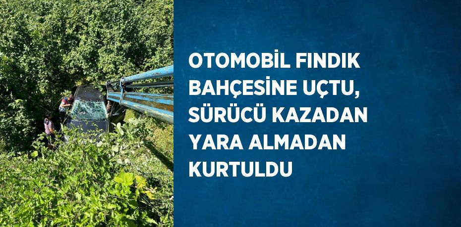 OTOMOBİL FINDIK BAHÇESİNE UÇTU, SÜRÜCÜ KAZADAN YARA ALMADAN KURTULDU