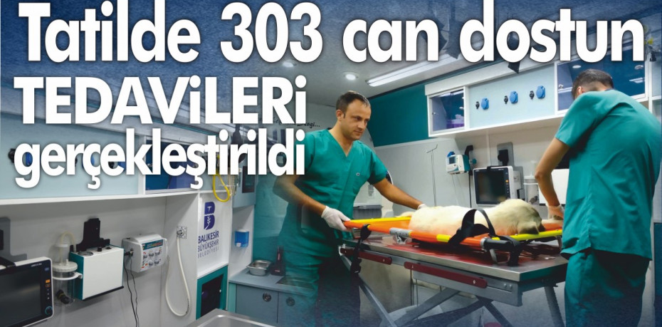 Tatilde 303 can dostun tedavileri gerçekleştirildi