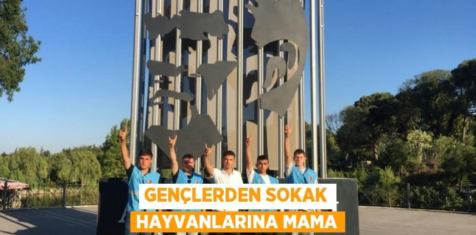 Gençlerden sokak hayvanlarına mama