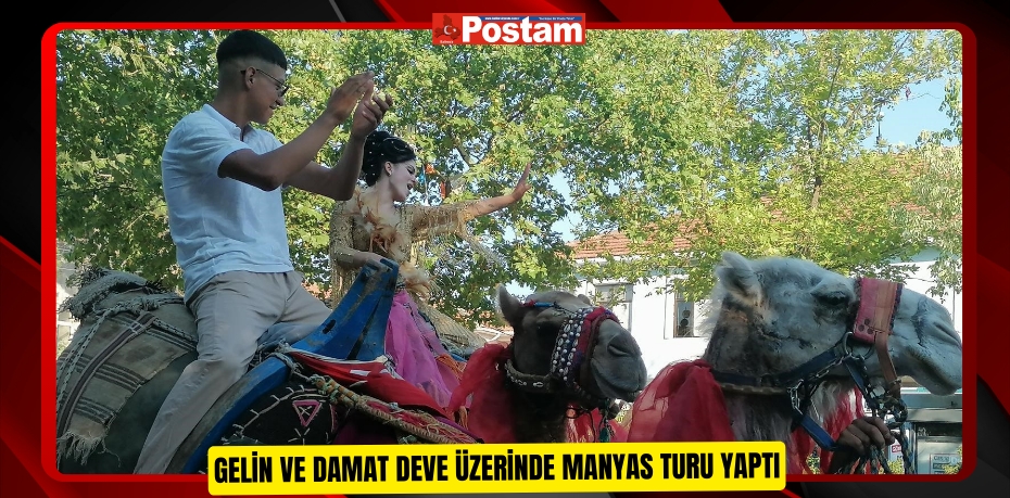 Gelin ve damat deve üzerinde Manyas turu yaptı  