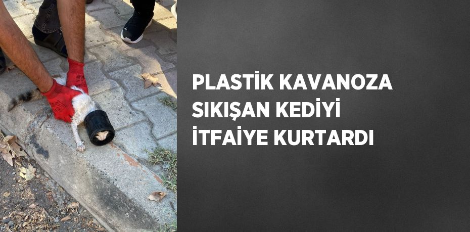 PLASTİK KAVANOZA SIKIŞAN KEDİYİ İTFAİYE KURTARDI