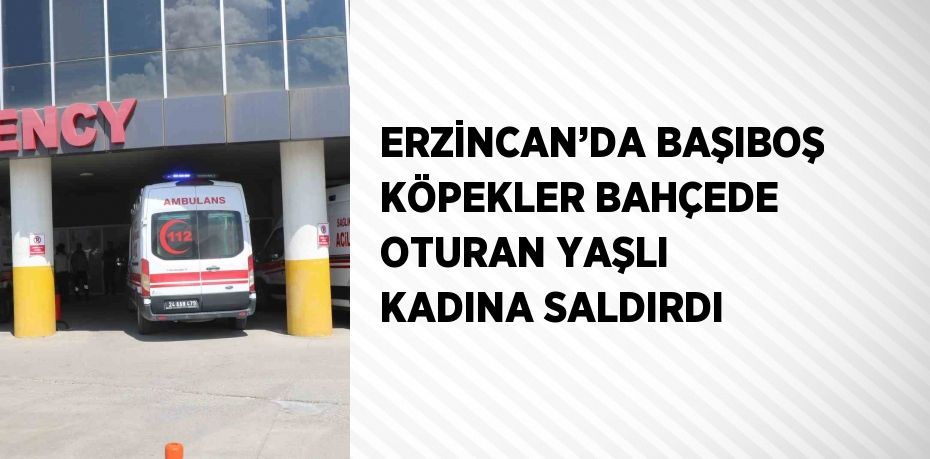 ERZİNCAN’DA BAŞIBOŞ KÖPEKLER BAHÇEDE OTURAN YAŞLI KADINA SALDIRDI