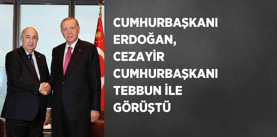 CUMHURBAŞKANI ERDOĞAN, CEZAYİR CUMHURBAŞKANI TEBBUN İLE GÖRÜŞTÜ