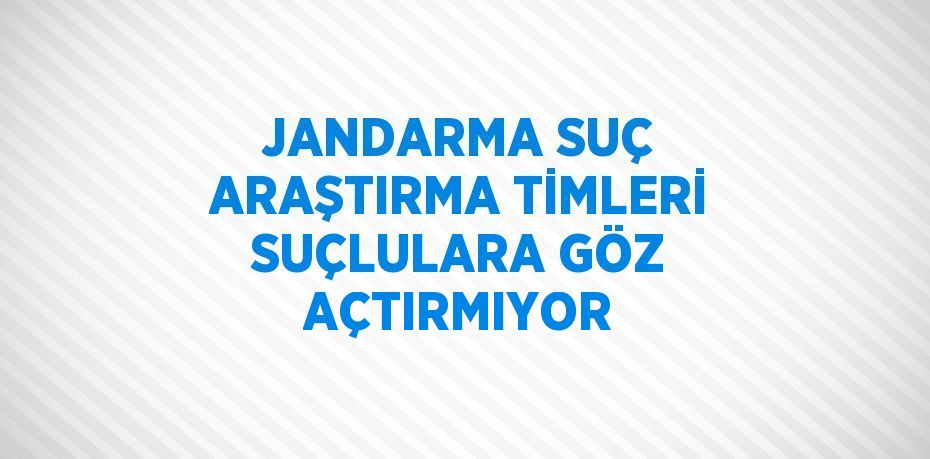 JANDARMA SUÇ ARAŞTIRMA TİMLERİ SUÇLULARA GÖZ AÇTIRMIYOR