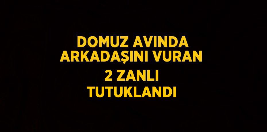 DOMUZ AVINDA ARKADAŞINI VURAN 2 ZANLI TUTUKLANDI