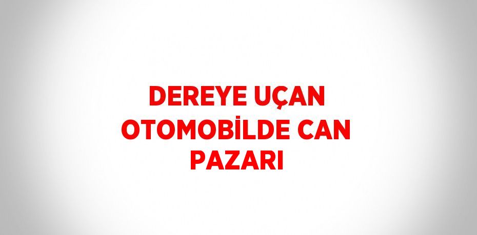 DEREYE UÇAN OTOMOBİLDE CAN PAZARI