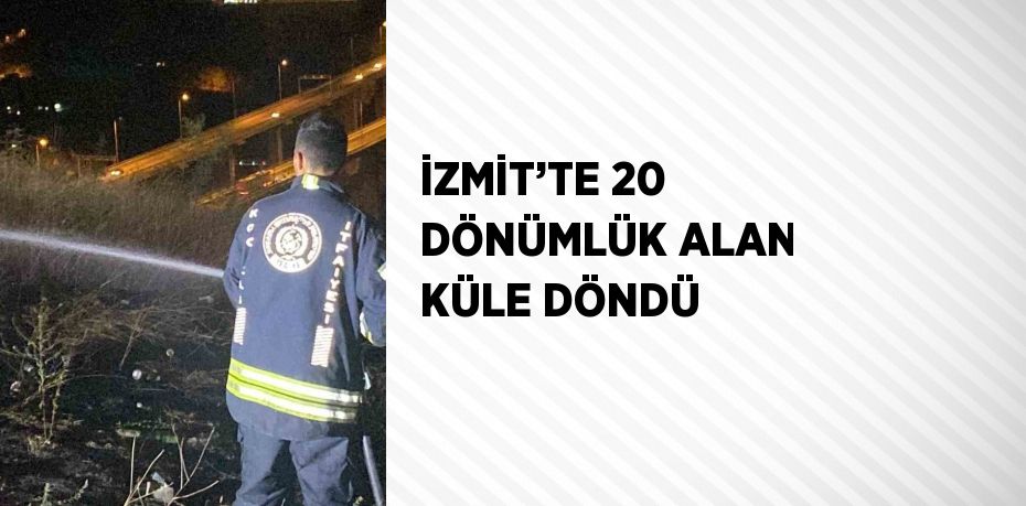 İZMİT’TE 20 DÖNÜMLÜK ALAN KÜLE DÖNDÜ