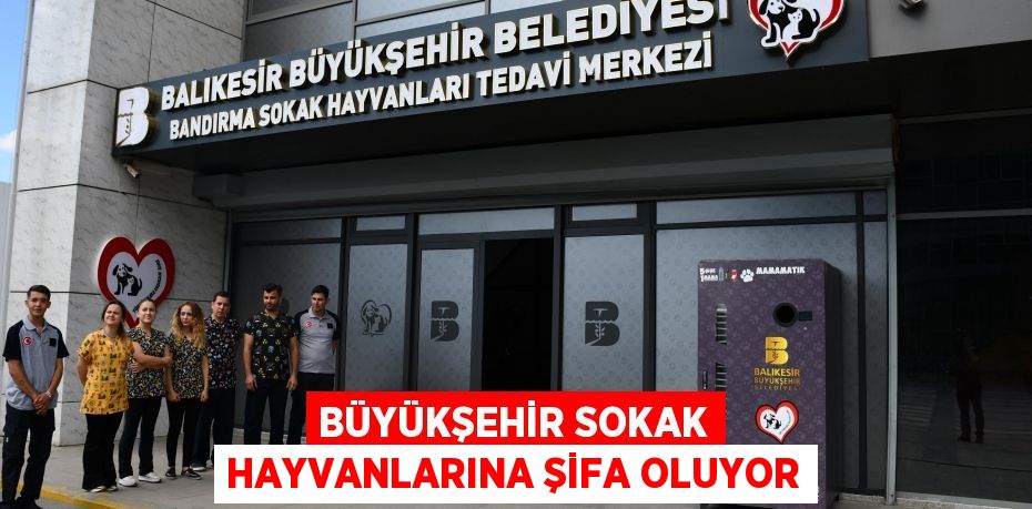 BÜYÜKŞEHİR SOKAK HAYVANLARINA ŞİFA OLUYOR