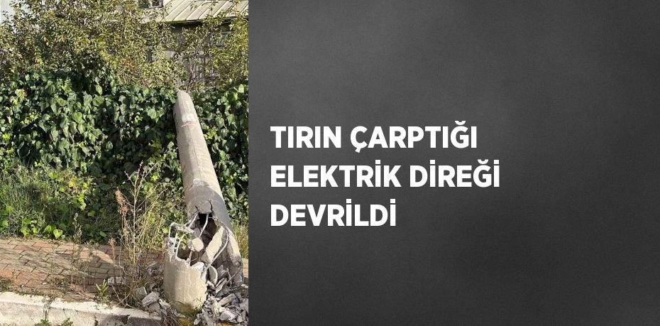 TIRIN ÇARPTIĞI ELEKTRİK DİREĞİ DEVRİLDİ