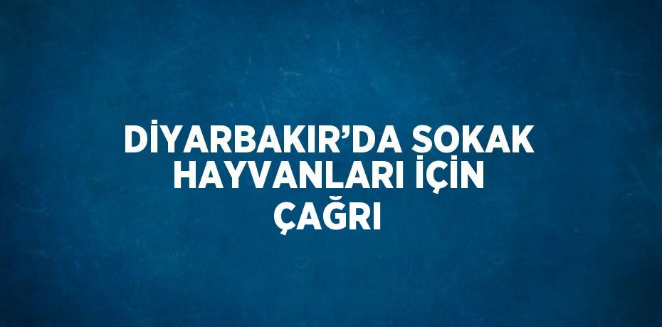 DİYARBAKIR’DA SOKAK HAYVANLARI İÇİN ÇAĞRI