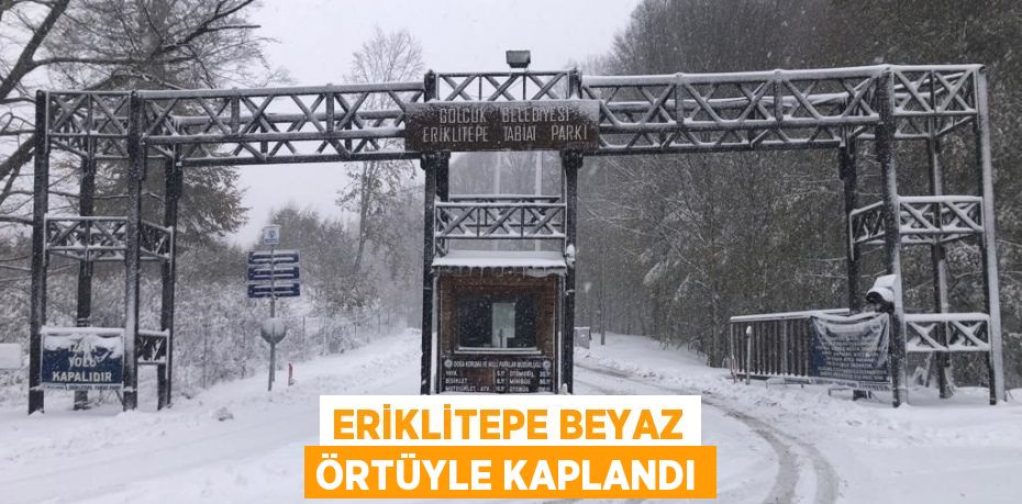 ERİKLİTEPE BEYAZ ÖRTÜYLE KAPLANDI