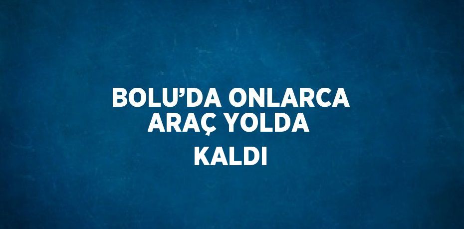 BOLU’DA ONLARCA ARAÇ YOLDA KALDI