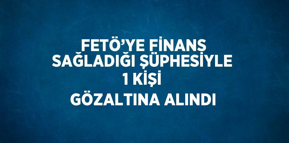 FETÖ’YE FİNANS SAĞLADIĞI ŞÜPHESİYLE 1 KİŞİ GÖZALTINA ALINDI