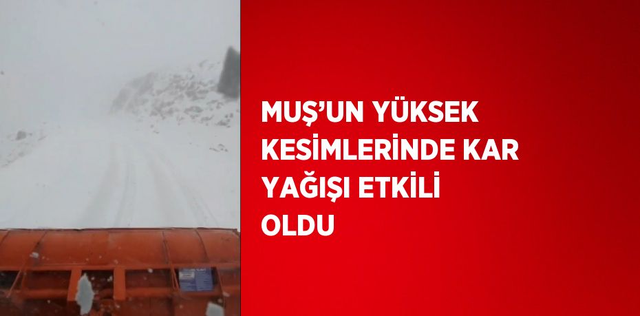 MUŞ’UN YÜKSEK KESİMLERİNDE KAR YAĞIŞI ETKİLİ OLDU