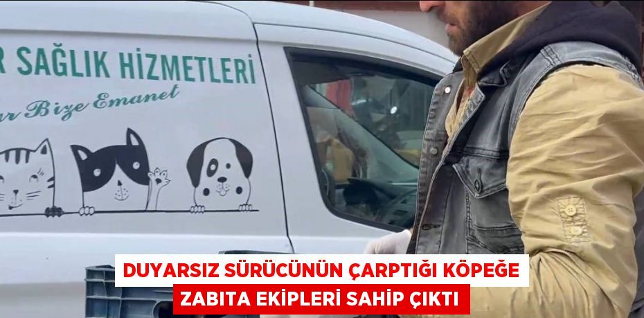 DUYARSIZ SÜRÜCÜNÜN ÇARPTIĞI KÖPEĞE ZABITA EKİPLERİ SAHİP ÇIKTI