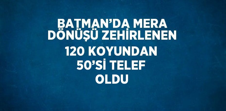 BATMAN’DA MERA DÖNÜŞÜ ZEHİRLENEN 120 KOYUNDAN 50’Sİ TELEF OLDU