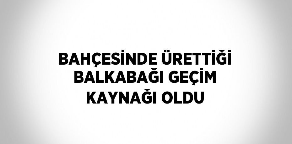 BAHÇESİNDE ÜRETTİĞİ BALKABAĞI GEÇİM KAYNAĞI OLDU