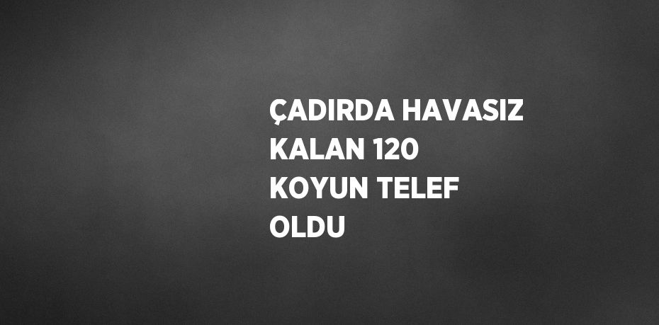 ÇADIRDA HAVASIZ KALAN 120 KOYUN TELEF OLDU