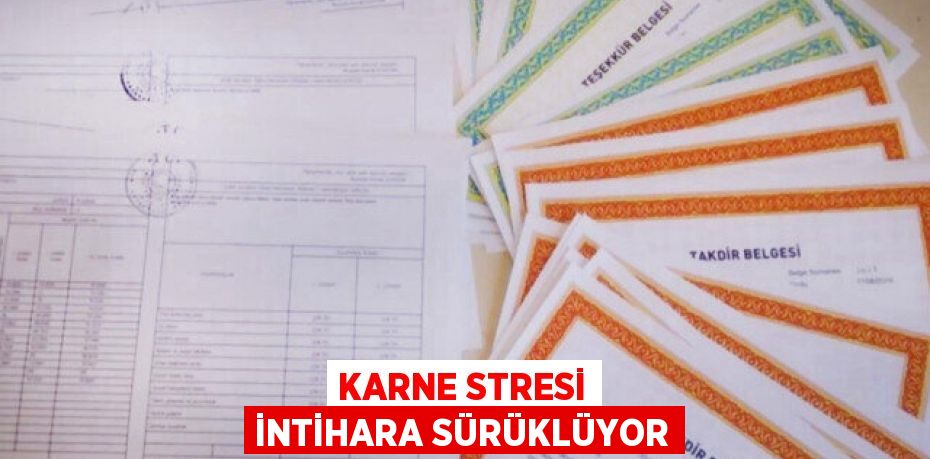 Karne Stresi İntihara Sürüklüyor