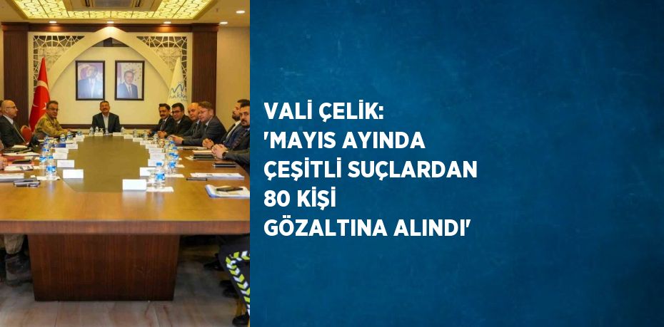 VALİ ÇELİK: 'MAYIS AYINDA ÇEŞİTLİ SUÇLARDAN 80 KİŞİ GÖZALTINA ALINDI'