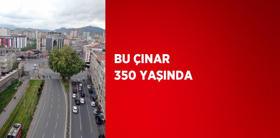 BU ÇINAR 350 YAŞINDA