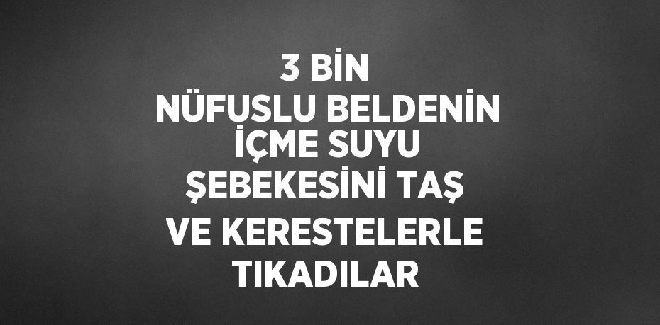 3 BİN NÜFUSLU BELDENİN İÇME SUYU ŞEBEKESİNİ TAŞ VE KERESTELERLE TIKADILAR