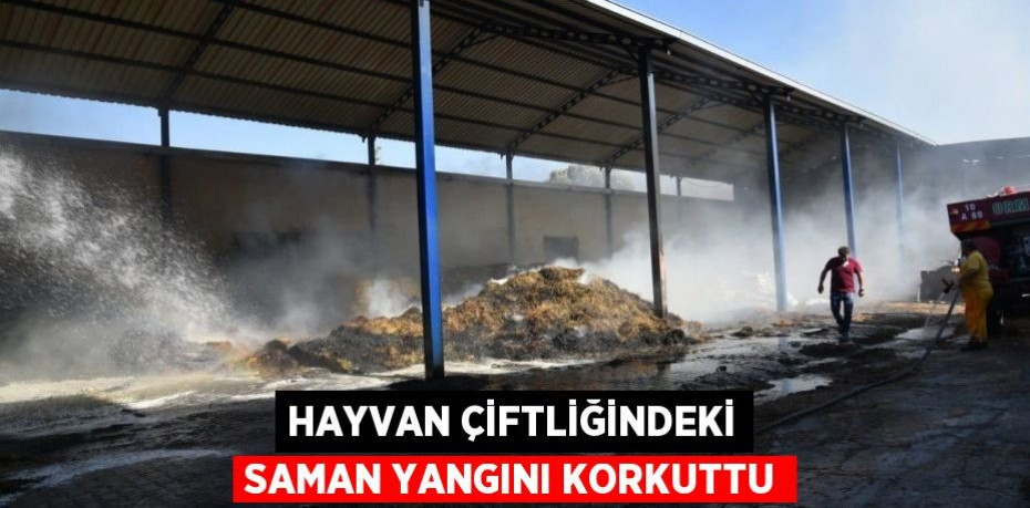 Hayvan çiftliğindeki saman yangını korkuttu