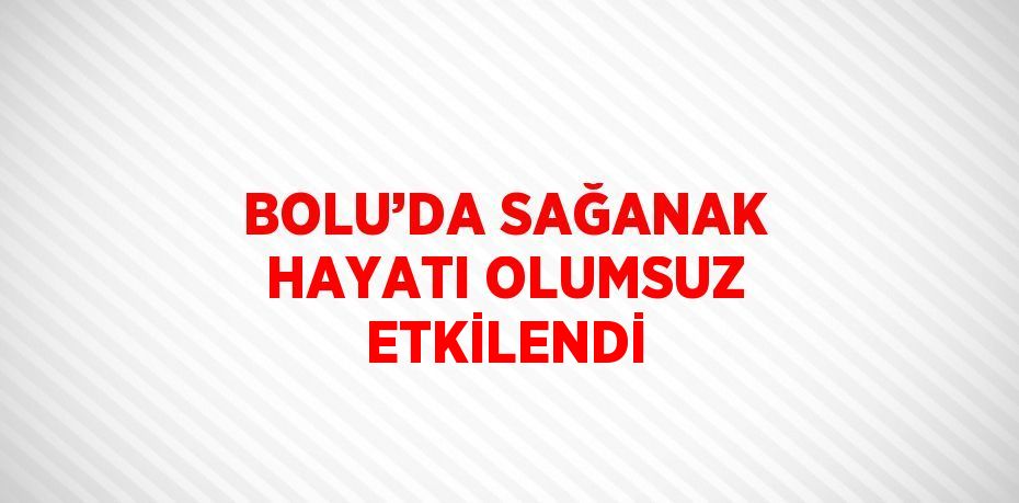 BOLU’DA SAĞANAK HAYATI OLUMSUZ ETKİLENDİ