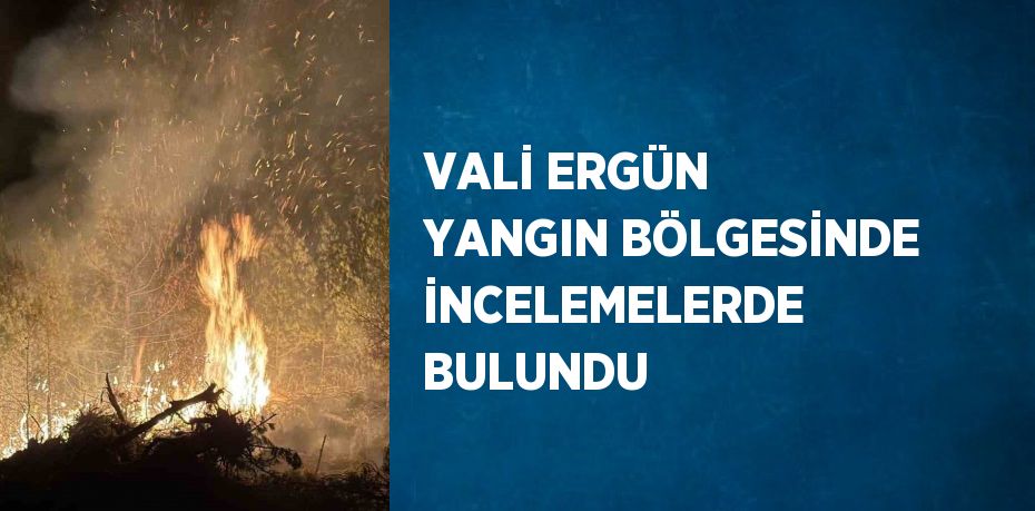 VALİ ERGÜN YANGIN BÖLGESİNDE İNCELEMELERDE BULUNDU