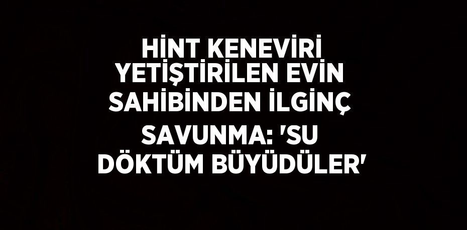 HİNT KENEVİRİ YETİŞTİRİLEN EVİN SAHİBİNDEN İLGİNÇ SAVUNMA: 'SU DÖKTÜM BÜYÜDÜLER'