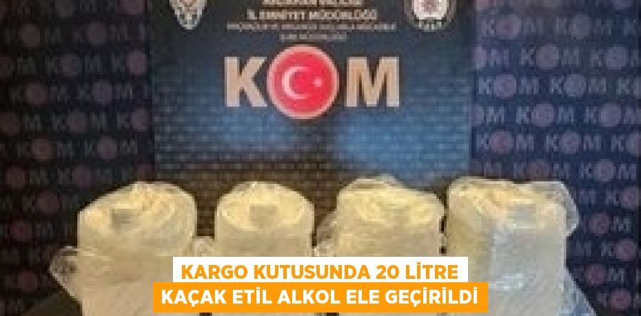 KARGO KUTUSUNDA 20 LİTRE KAÇAK ETİL ALKOL ELE GEÇİRİLDİ