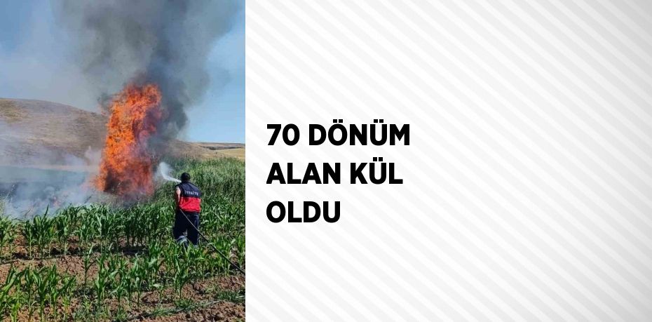 70 DÖNÜM ALAN KÜL OLDU