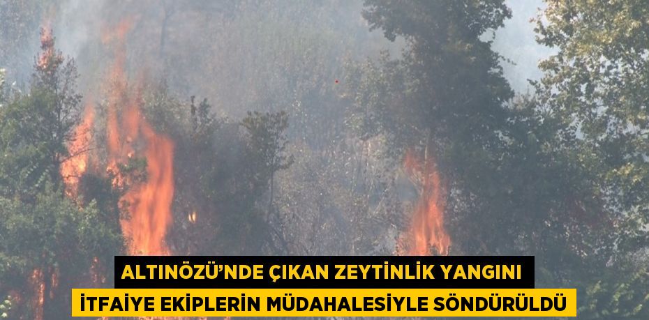 ALTINÖZÜ’NDE ÇIKAN ZEYTİNLİK YANGINI İTFAİYE EKİPLERİN MÜDAHALESİYLE SÖNDÜRÜLDÜ