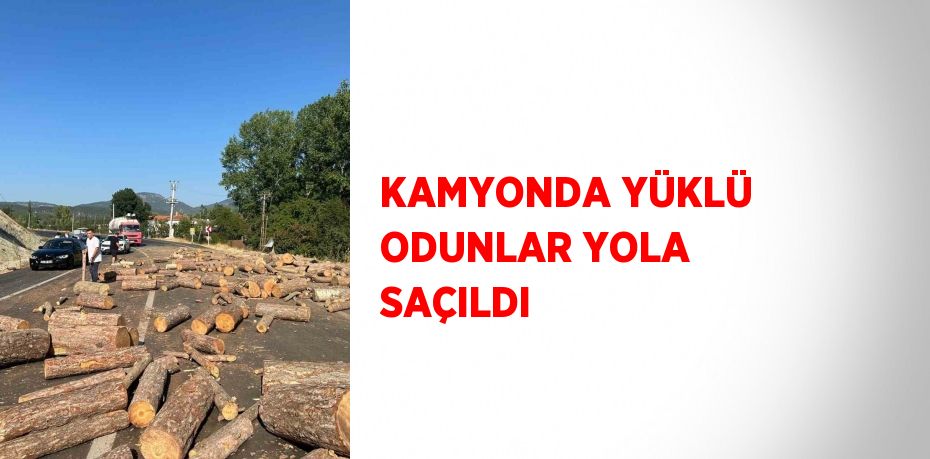 KAMYONDA YÜKLÜ ODUNLAR YOLA SAÇILDI