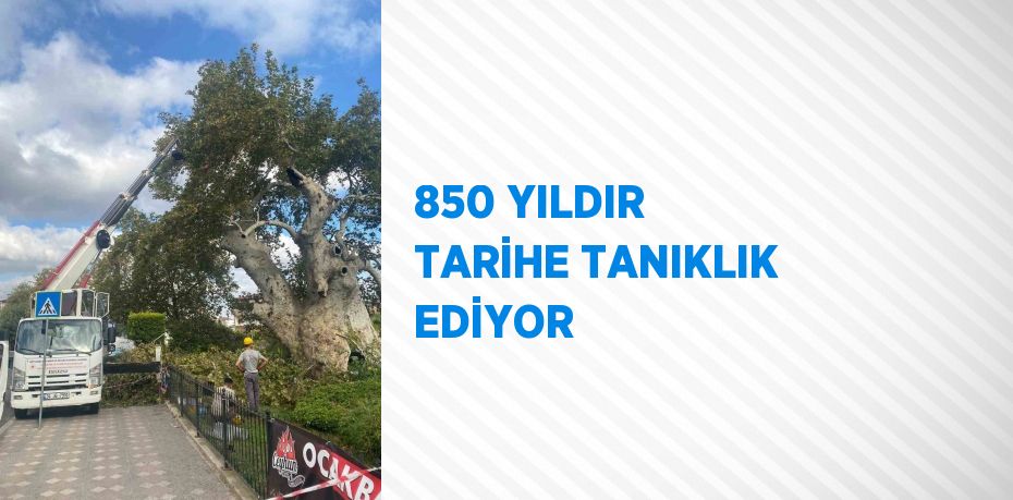 850 YILDIR TARİHE TANIKLIK EDİYOR