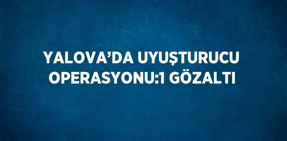 YALOVA’DA UYUŞTURUCU OPERASYONU:1 GÖZALTI