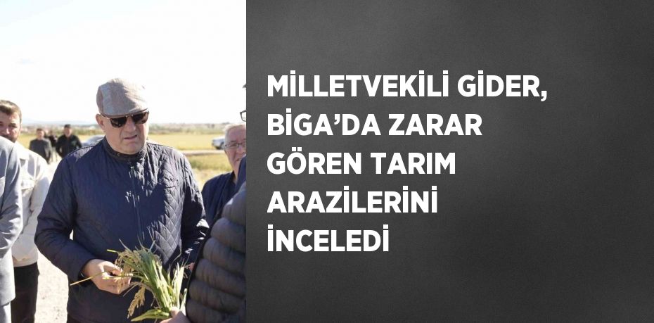 MİLLETVEKİLİ GİDER, BİGA’DA ZARAR GÖREN TARIM ARAZİLERİNİ İNCELEDİ