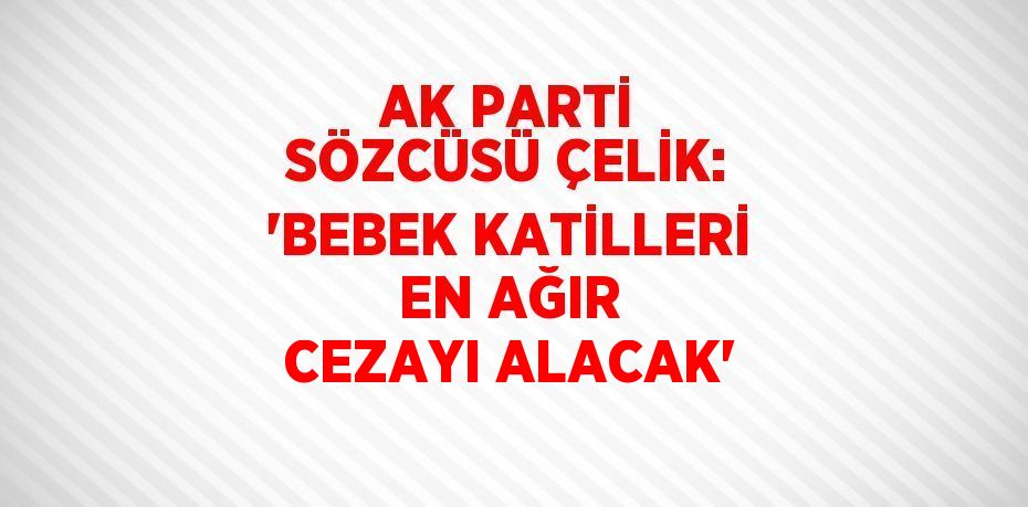 AK PARTİ SÖZCÜSÜ ÇELİK: 'BEBEK KATİLLERİ EN AĞIR CEZAYI ALACAK'