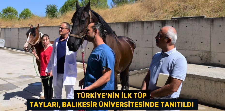 Türkiye’nin İlk Tüp Tayları, Balıkesir Üniversitesinde tanıtıldı