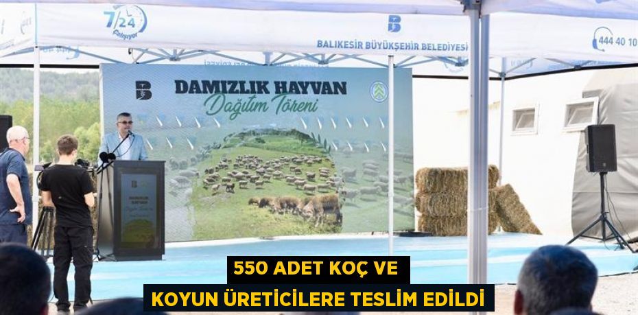 550 Adet Koç ve Koyun üreticilere teslim edildi