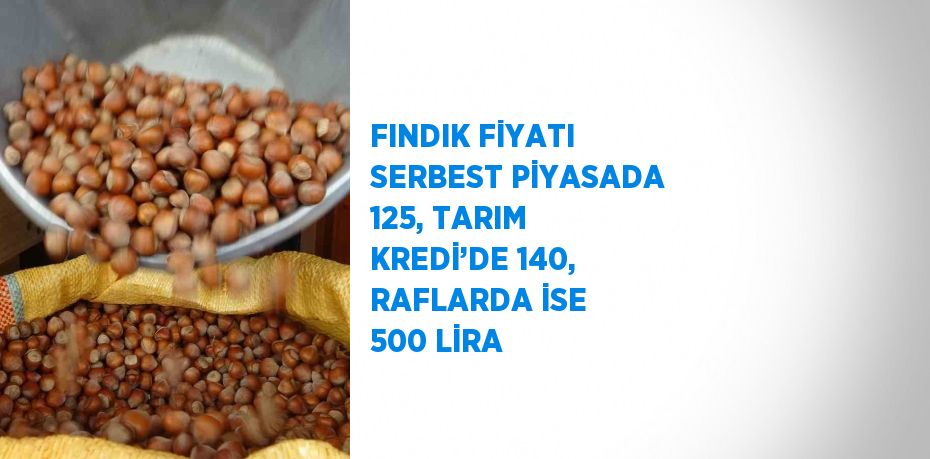 FINDIK FİYATI SERBEST PİYASADA 125, TARIM KREDİ’DE 140, RAFLARDA İSE 500 LİRA