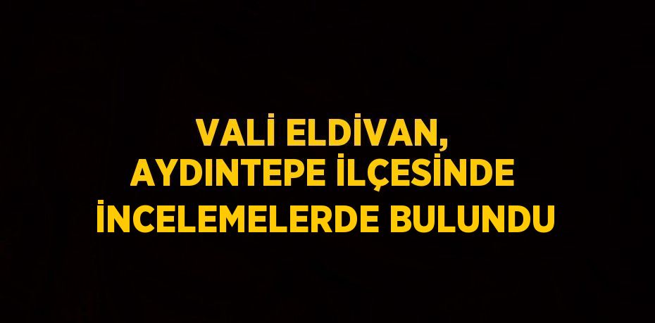 VALİ ELDİVAN, AYDINTEPE İLÇESİNDE İNCELEMELERDE BULUNDU