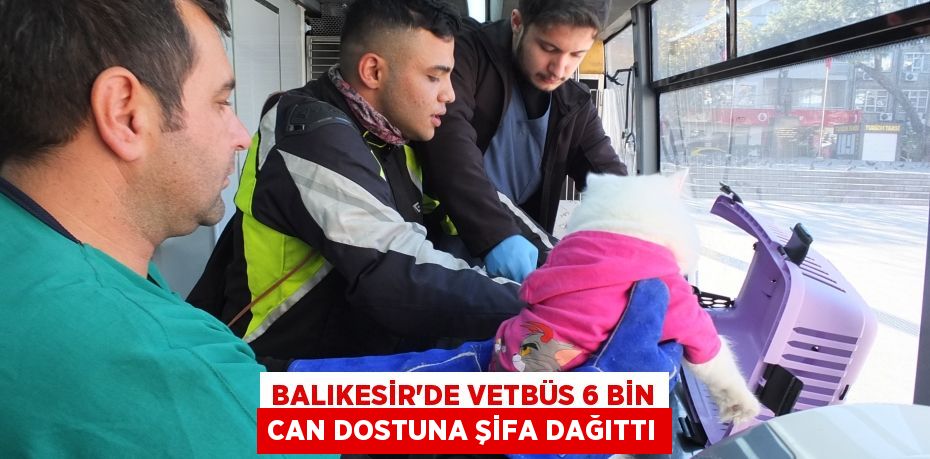 Balıkesir’de VETBÜS 6 bin can dostuna şifa dağıttı