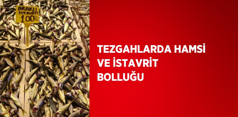 TEZGAHLARDA HAMSİ VE İSTAVRİT BOLLUĞU