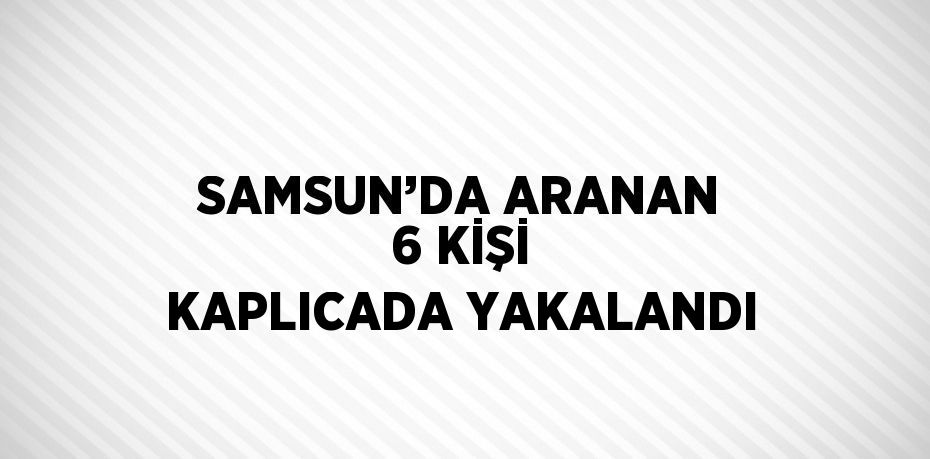 SAMSUN’DA ARANAN 6 KİŞİ KAPLICADA YAKALANDI