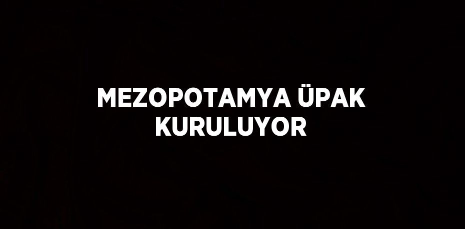 MEZOPOTAMYA ÜPAK KURULUYOR